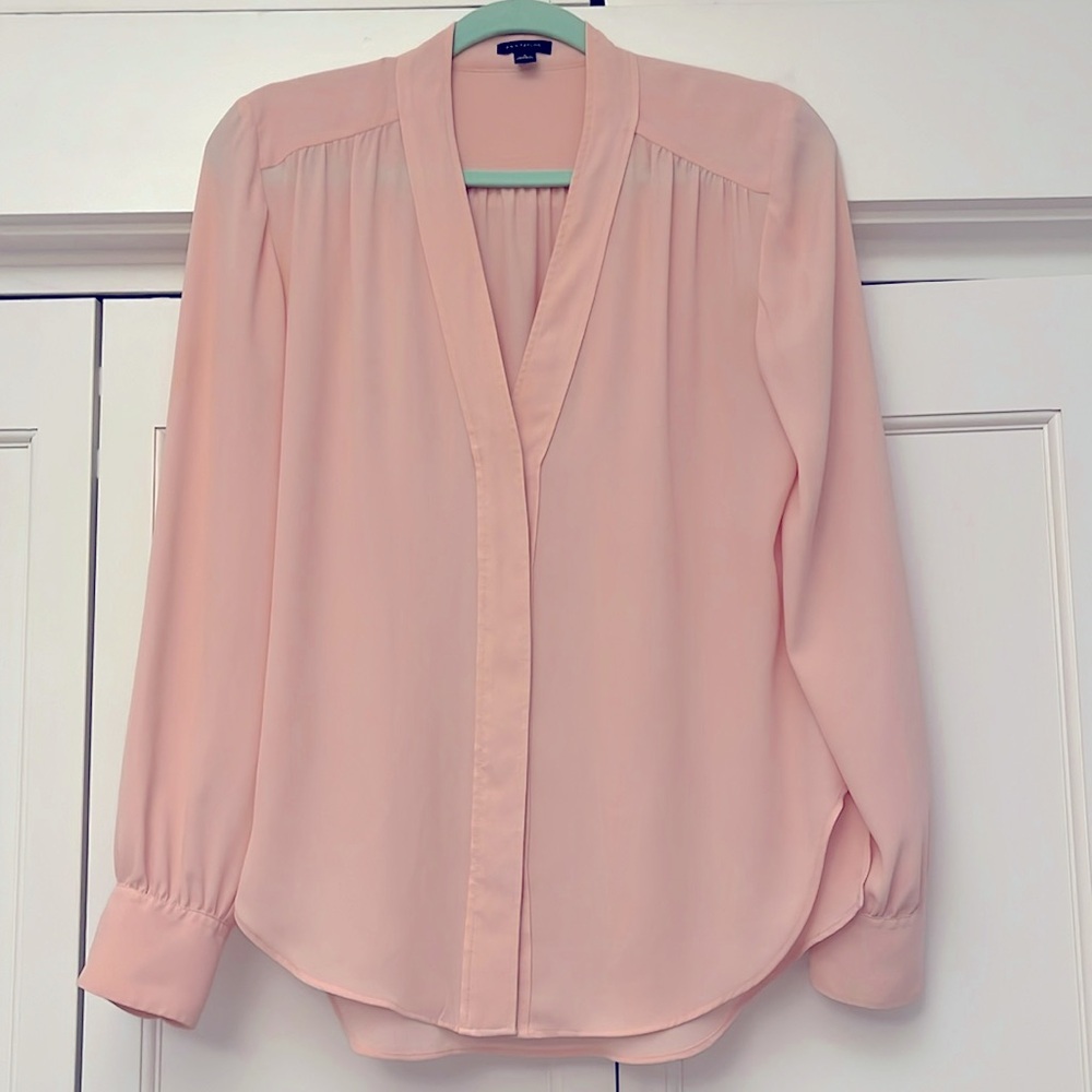 Women’s blush pink sheer blouse